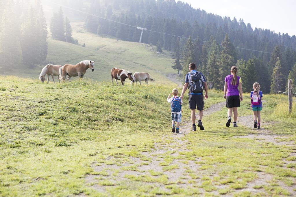 Appartmenthaus Martina Zell am Ziller Eksteriør billede